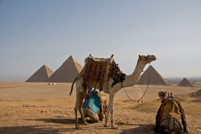 f:id:namesho:20170222113827j:plain